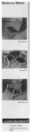 Wohneberarf 1947 003.jpg
